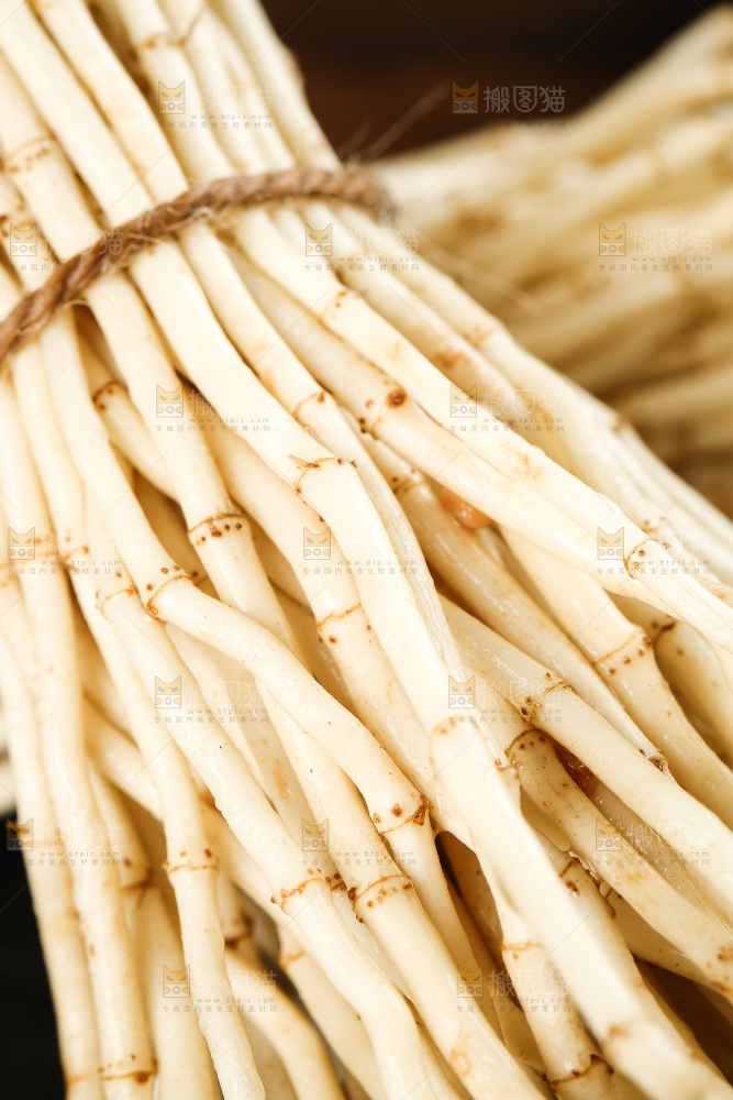深底上的新鲜折耳根