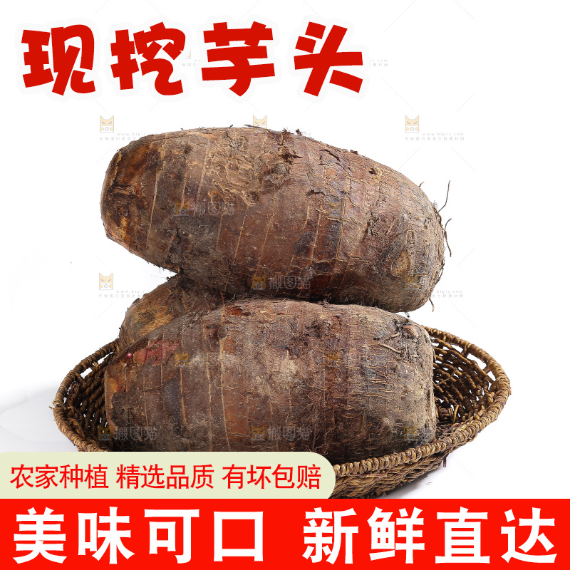 白底上的荔浦芋头