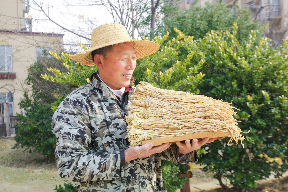 手里拿着干萝卜条
