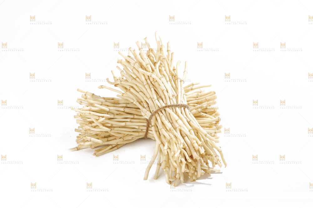 白底上的折耳根