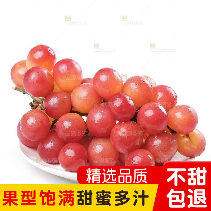 白底上的妮娜皇后葡萄