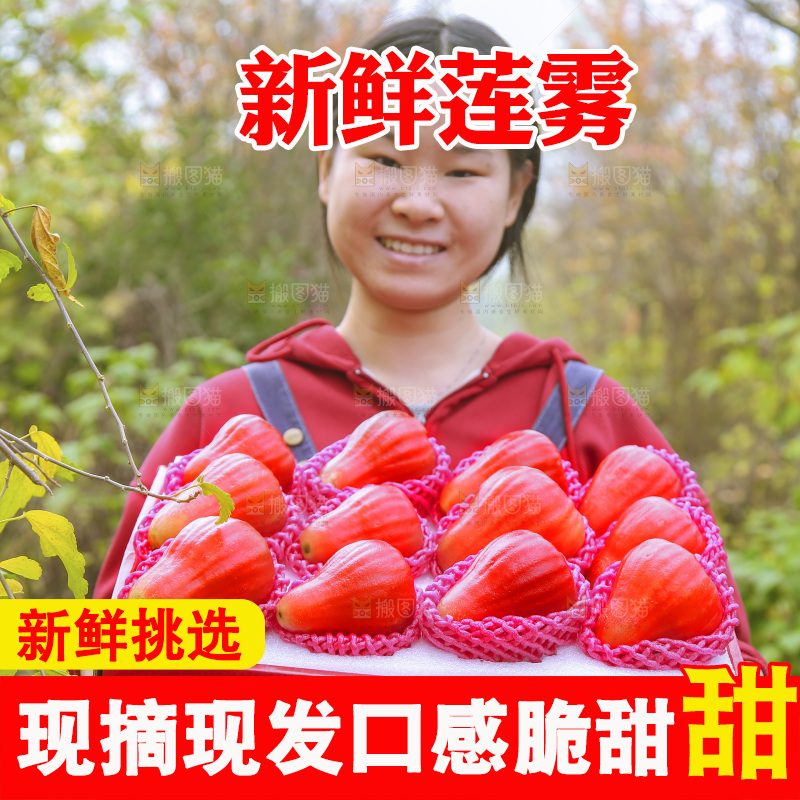 手里拿着莲雾