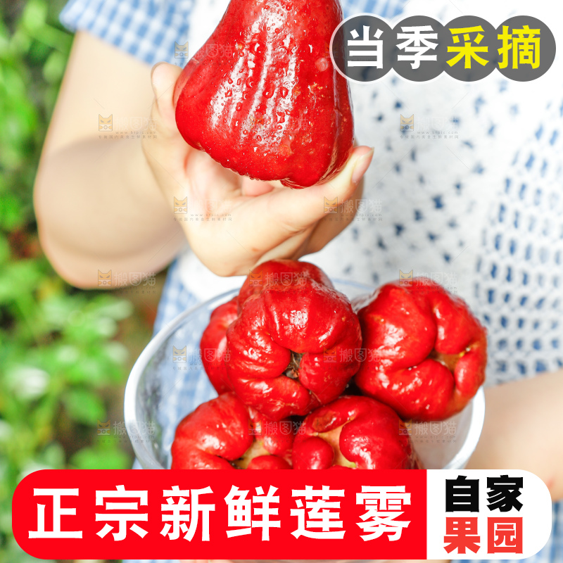 手里拿着莲雾