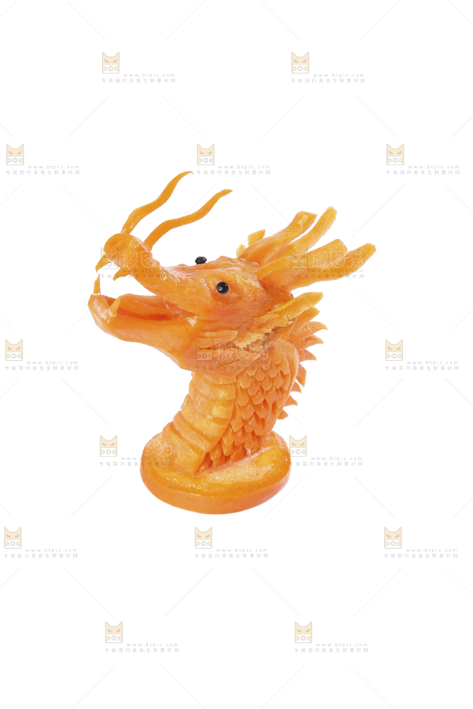 白底上的胡萝卜龙