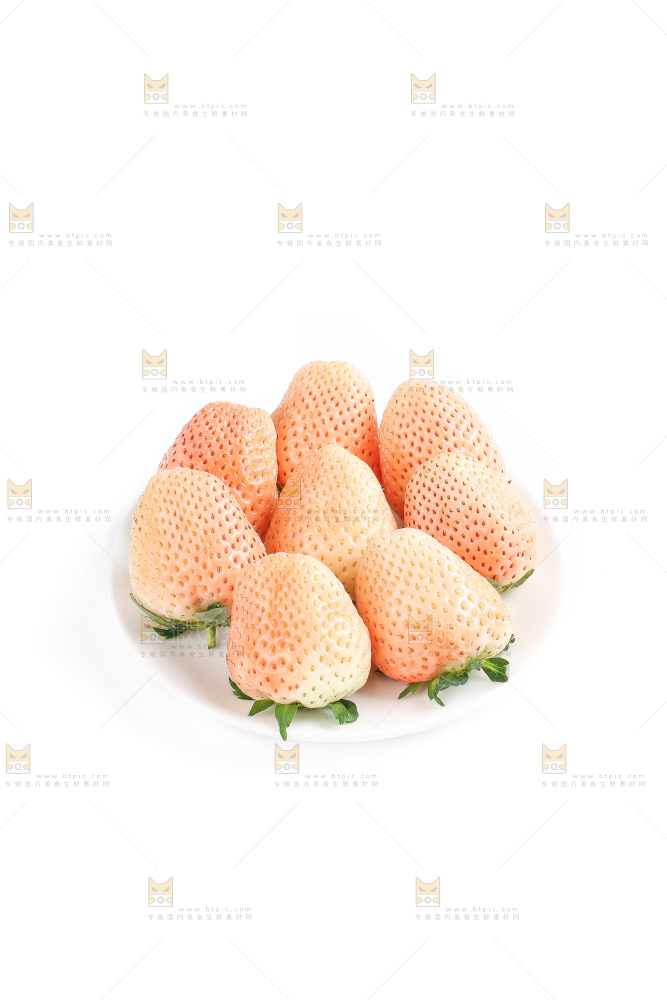 白底上的淡雪草莓