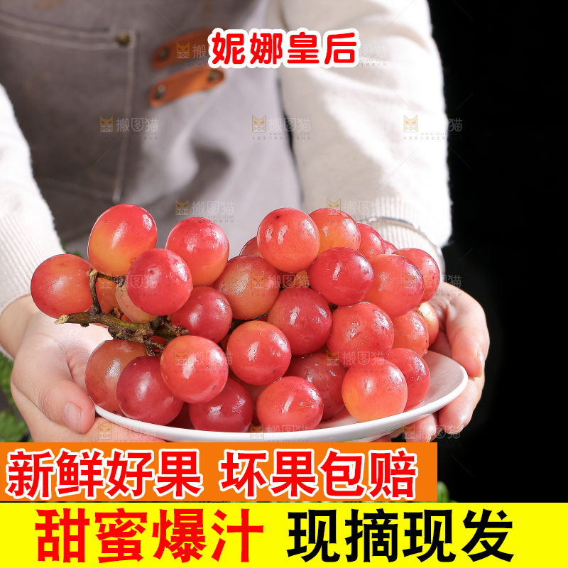 深底上的妮娜皇后葡萄