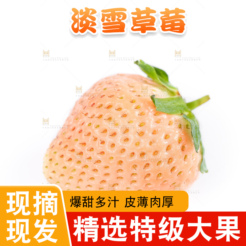 白底上的淡雪草莓