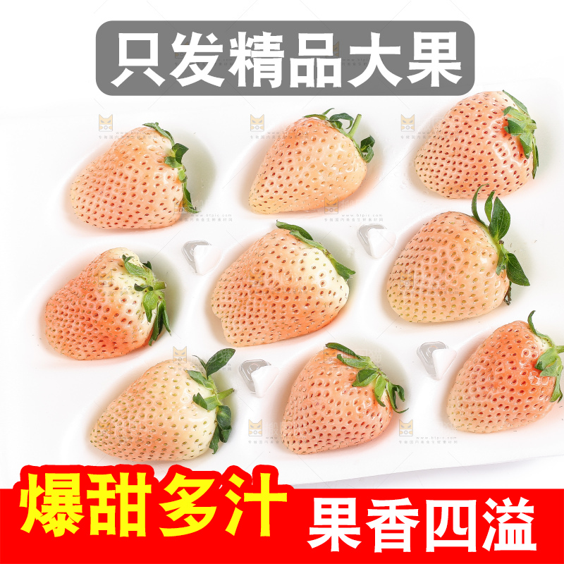 白底上的淡雪草莓