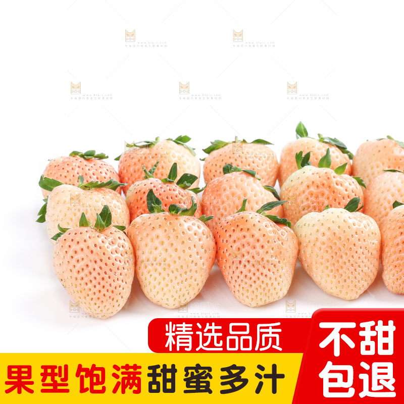 白底上的淡雪草莓