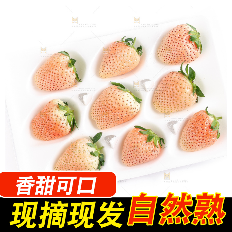 白底上的淡雪草莓