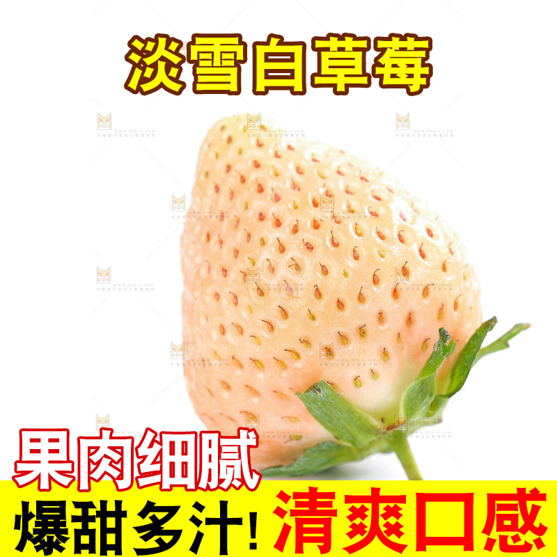 白底上的淡雪草莓