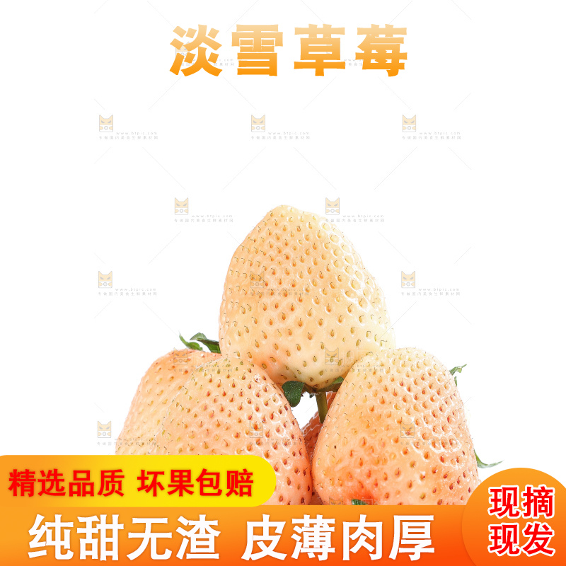 白底上的淡雪草莓