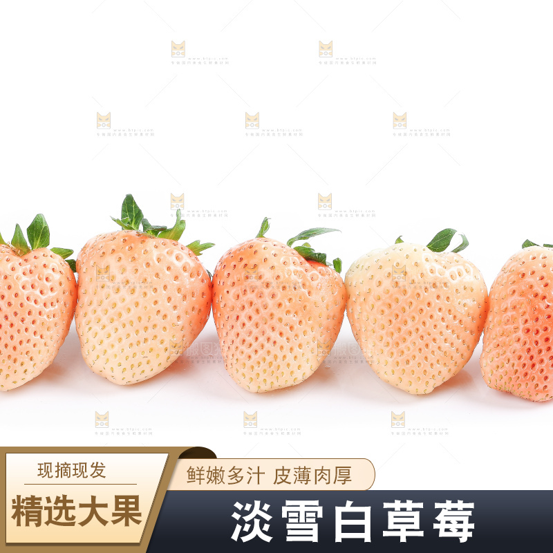 白底上的淡雪草莓