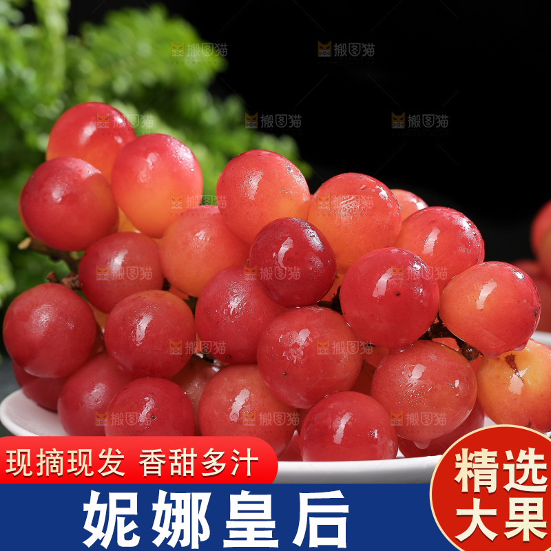 深底上的妮娜皇后葡萄