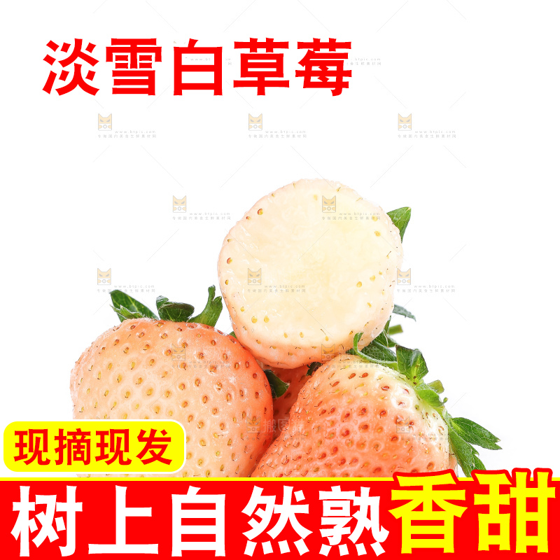 白底上的淡雪草莓