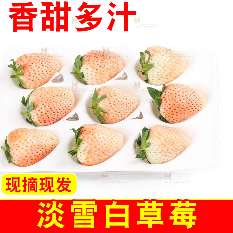 白底上的淡雪草莓