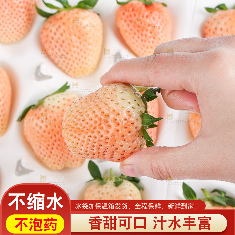 白底上的淡雪草莓