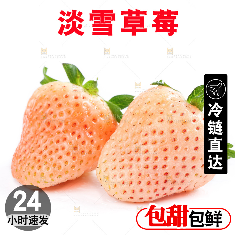 白底上的淡雪草莓