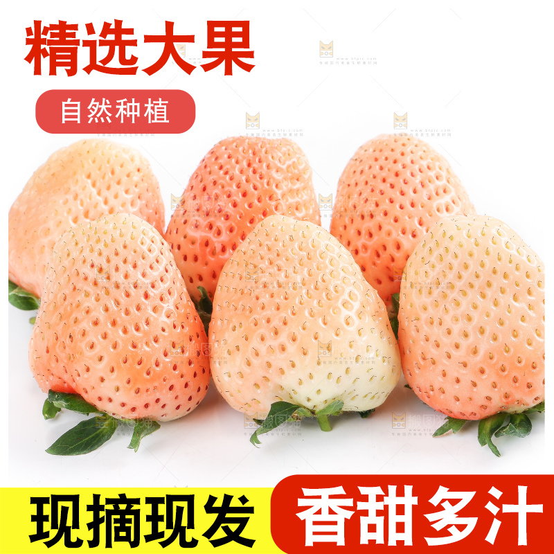 白底上的淡雪草莓