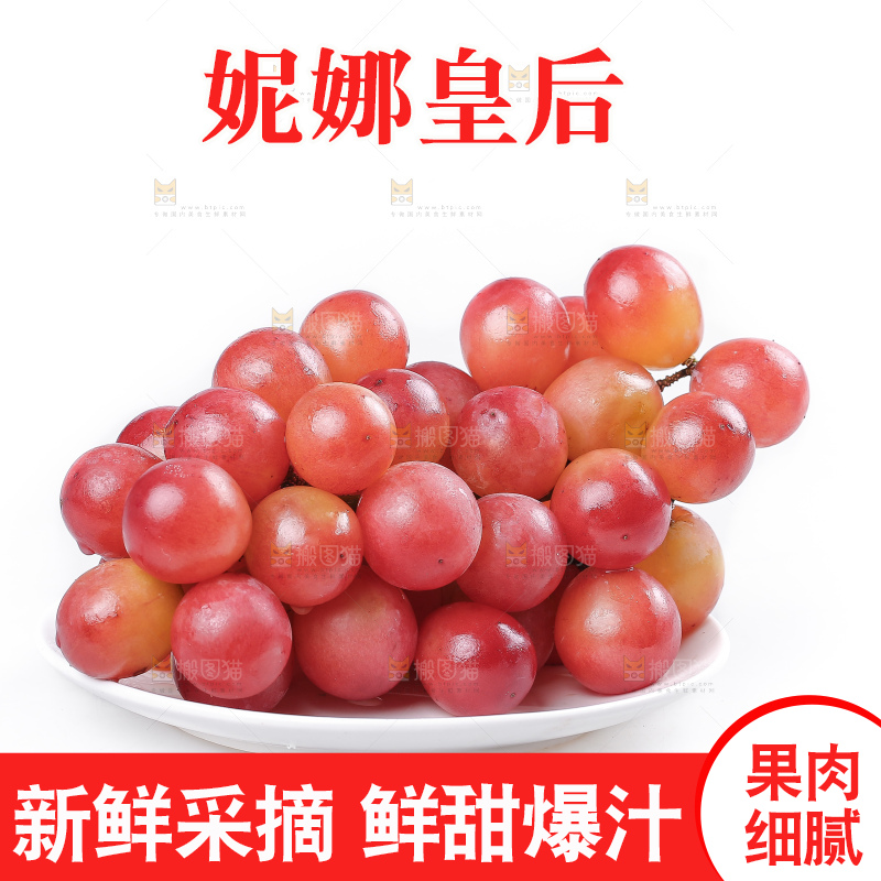 白底上的妮娜皇后葡萄