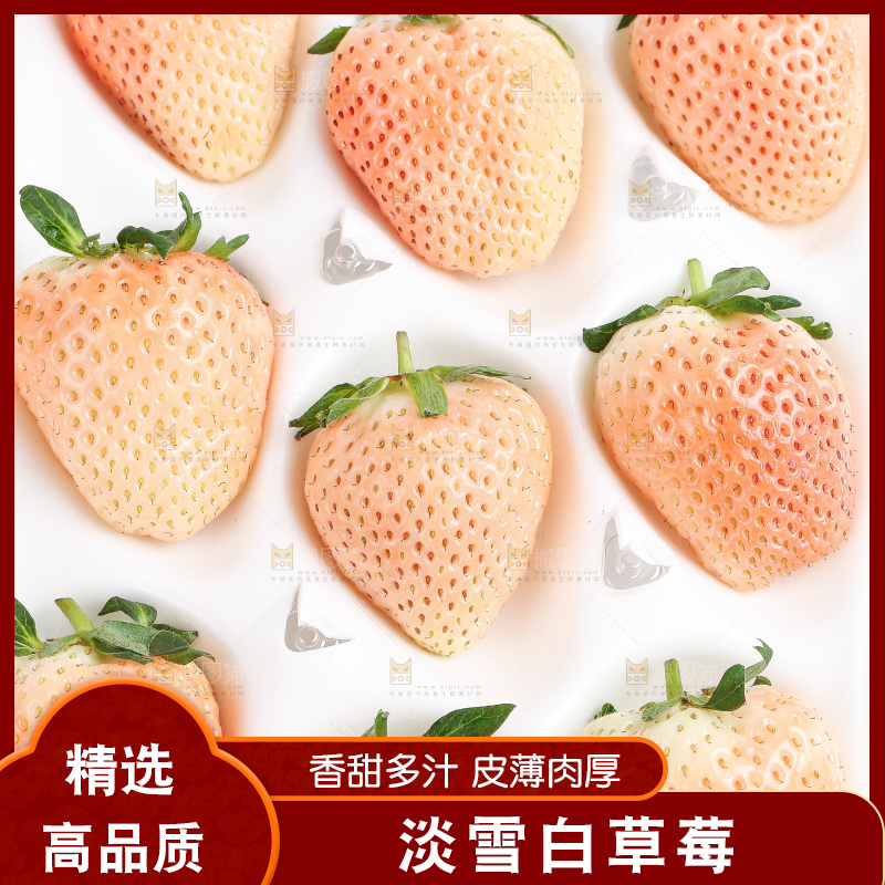 白底上的淡雪草莓