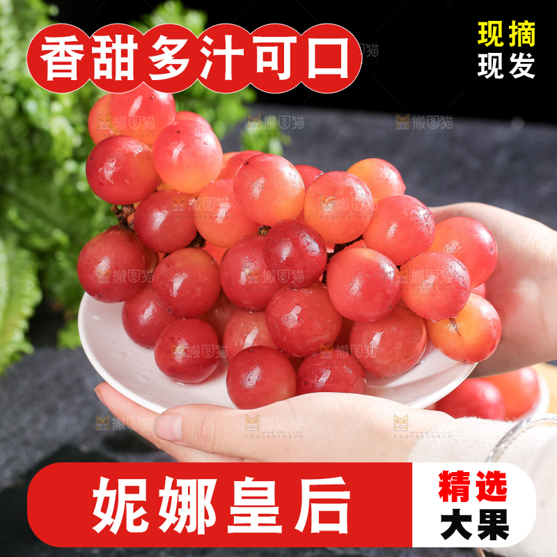 深底上的妮娜皇后葡萄