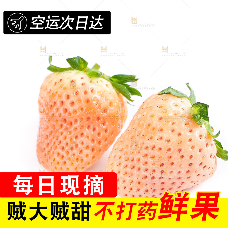白底上的淡雪草莓
