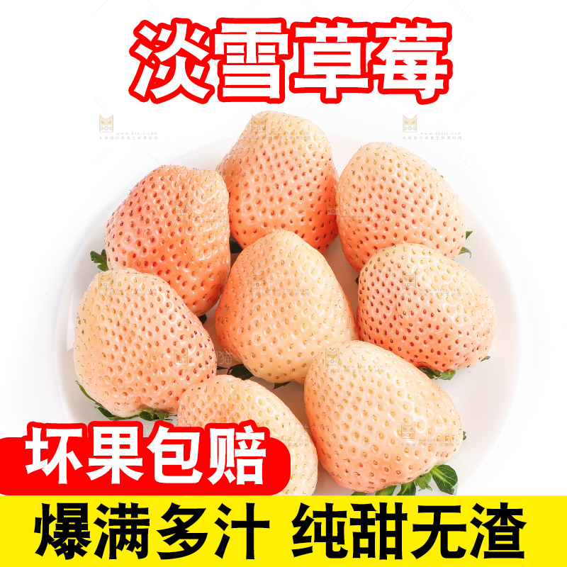白底上的淡雪草莓