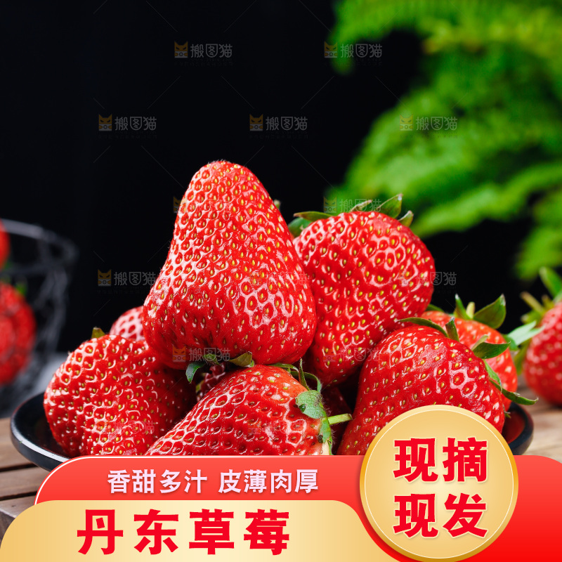 深底上的丹东草莓