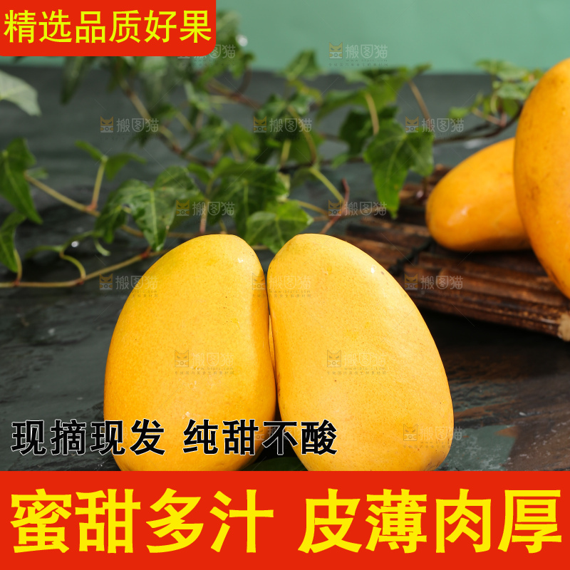 深底上的小台芒