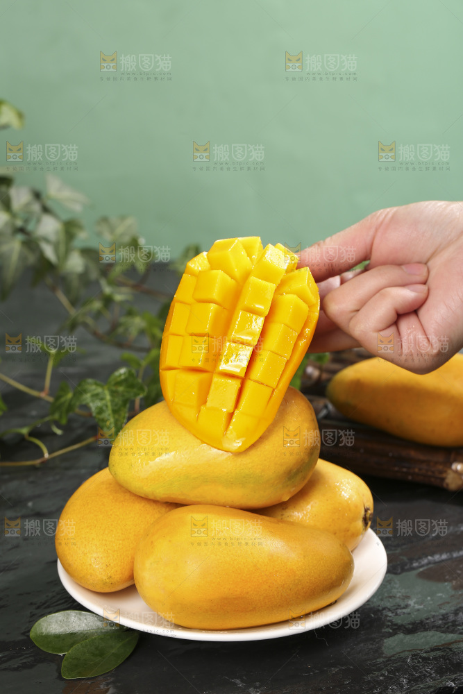 深底上的小台芒