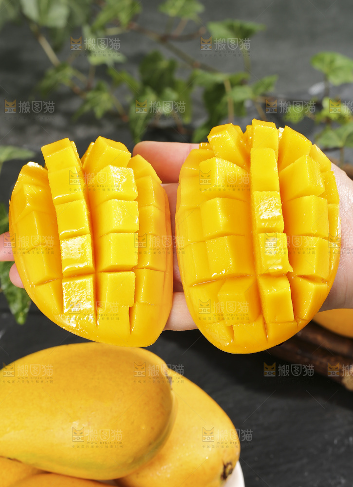 深底上的小台芒