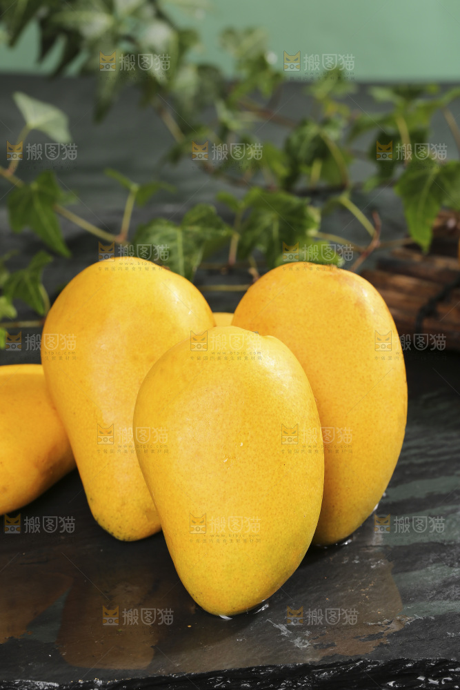 深底上的小台芒