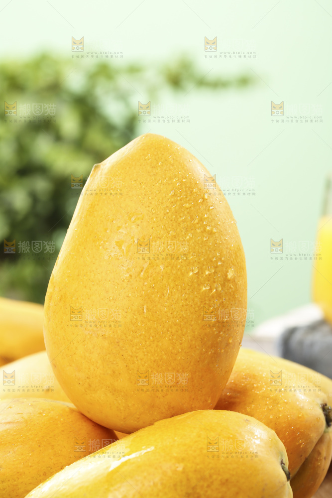 浅底上的小台芒