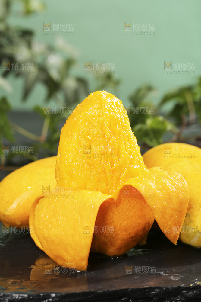 深底上的小台芒