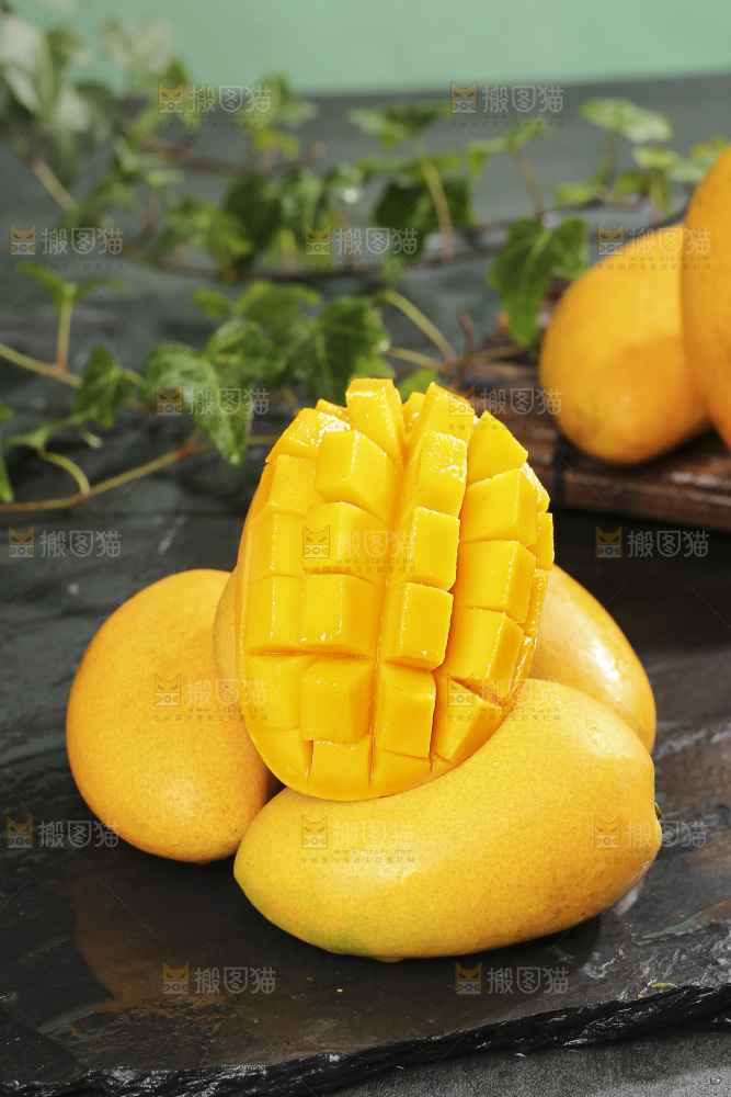 深底上的小台芒