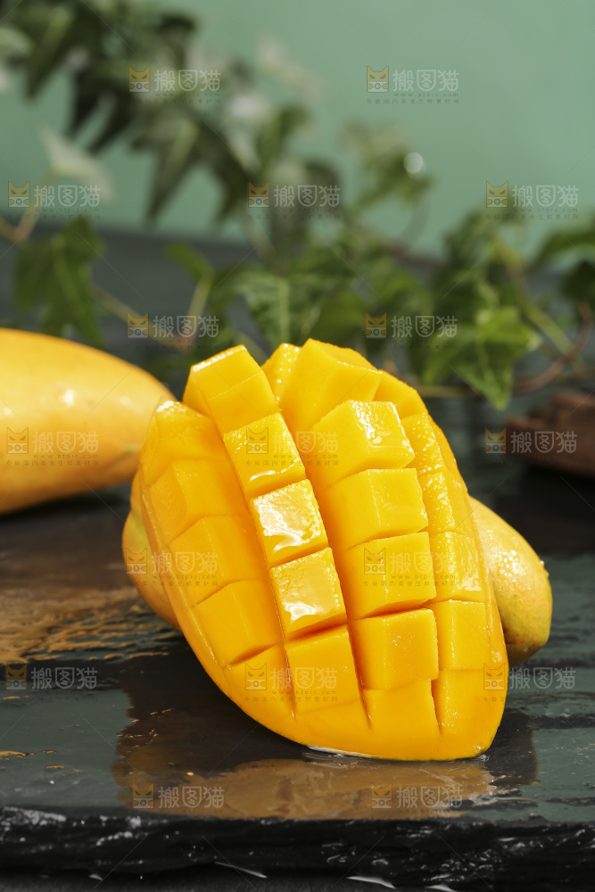 深底上的小台芒
