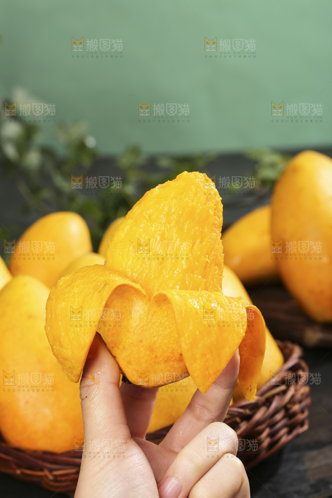 深底上的小台芒