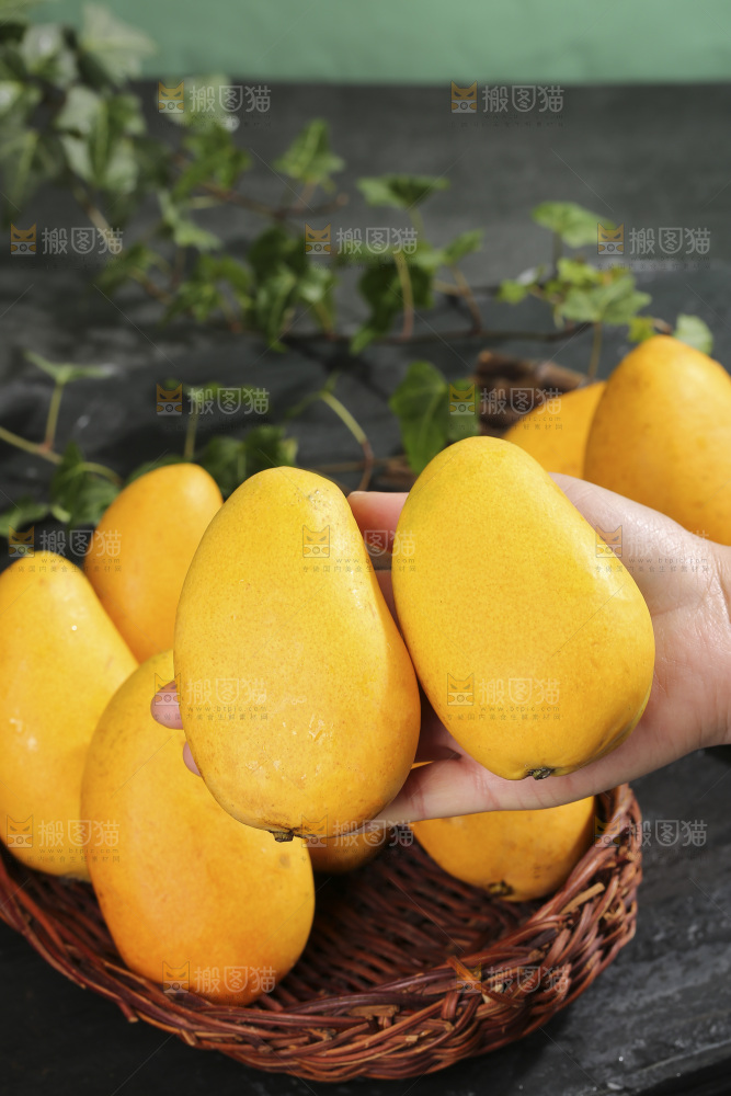 深底上的小台芒