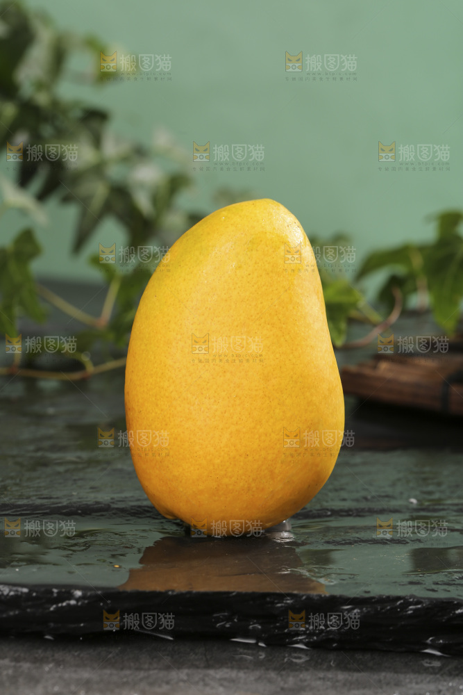 深底上的小台芒