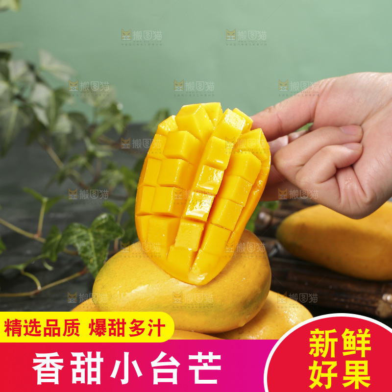 深底上的小台芒
