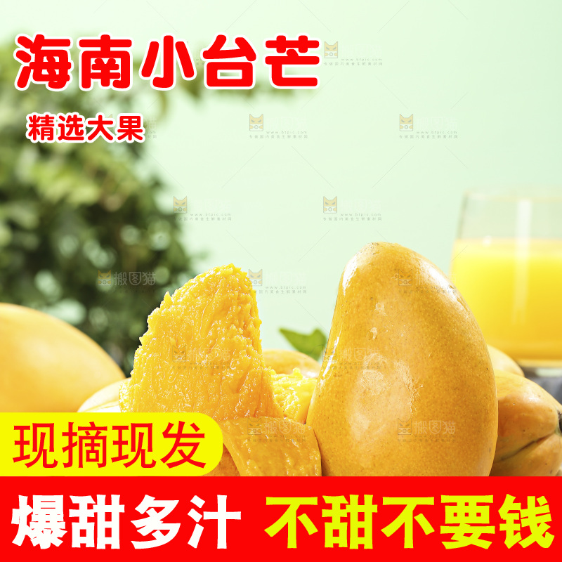 浅底上的小台芒