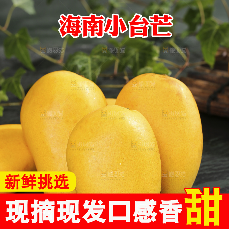 深底上的小台芒