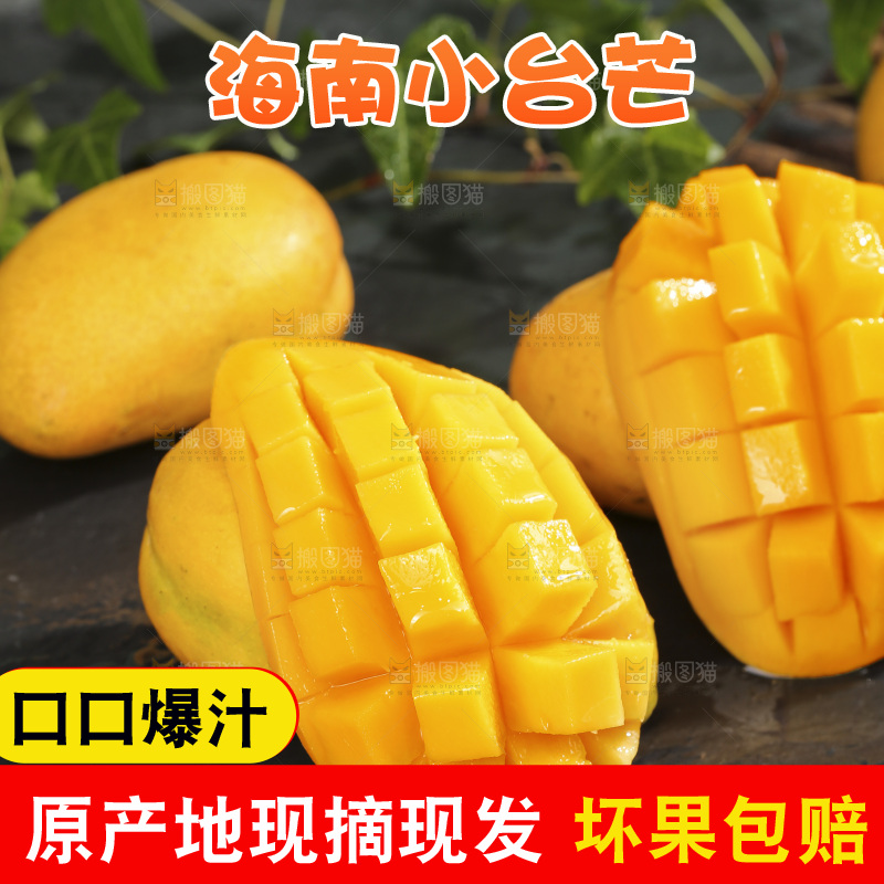 深底上的小台芒