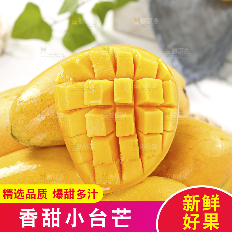 浅底上的小台芒