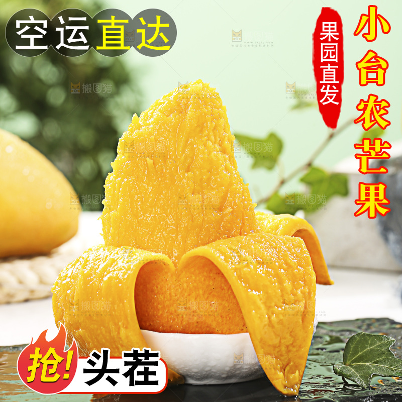 浅底上的小台芒