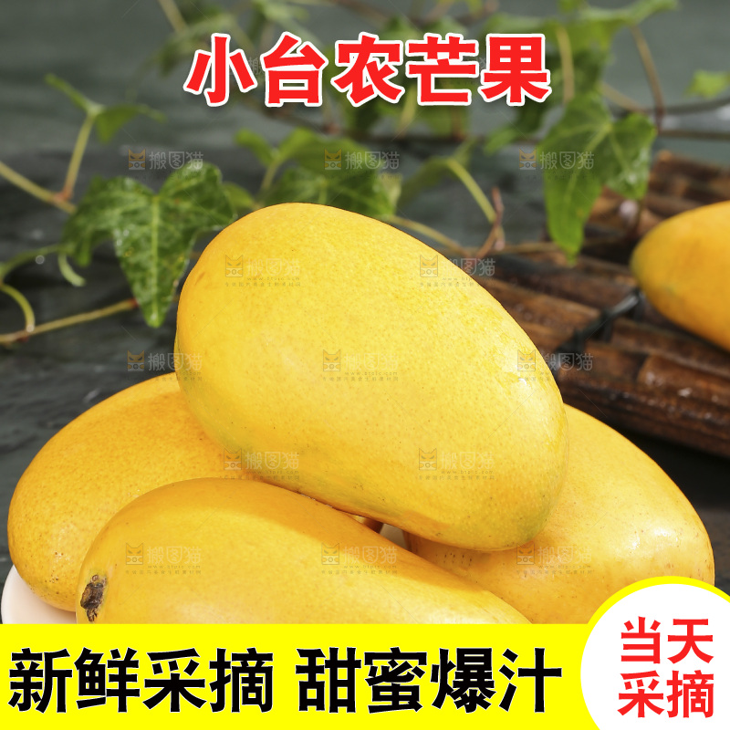深底上的小台芒