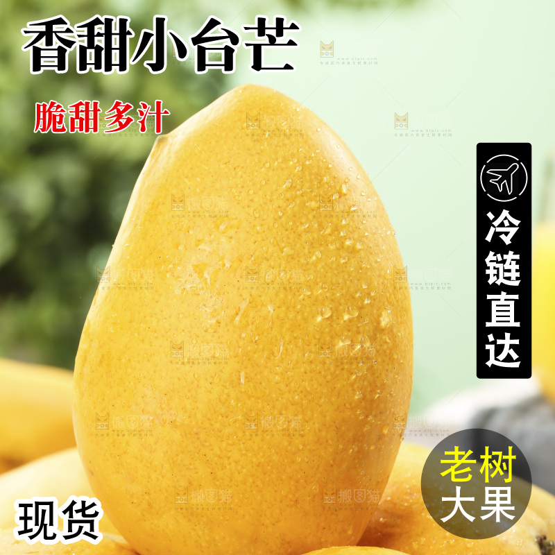 浅底上的小台芒