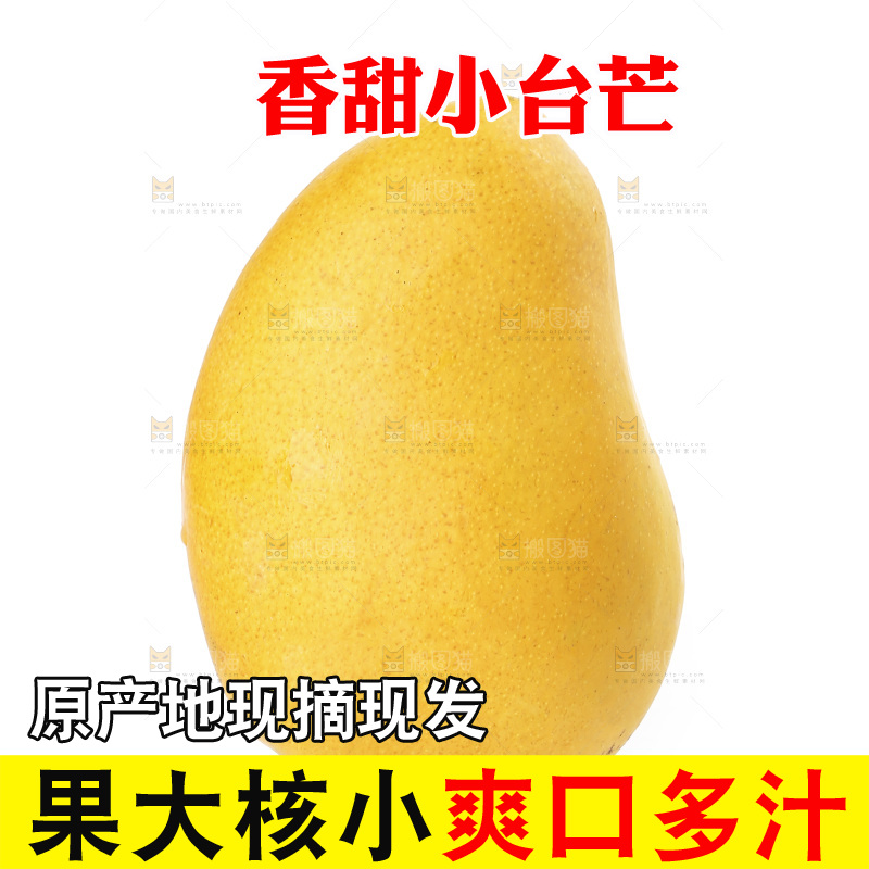 白底上的小台芒