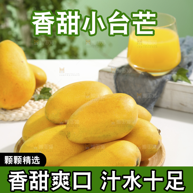 浅底上的小台芒